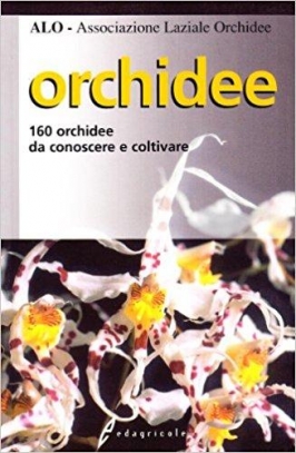 immagine 1 di Orchidee