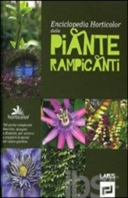 immagine 1 di Piante rampicanti