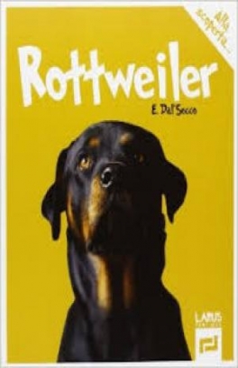 immagine 1 di Rottweiler